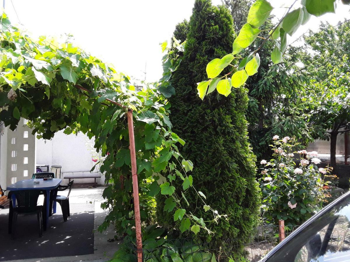 旧瓦马Old House公寓 外观 照片